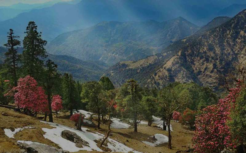 Mussoorie Tour Package