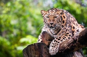 Sri Lanka Trip: 6-Day